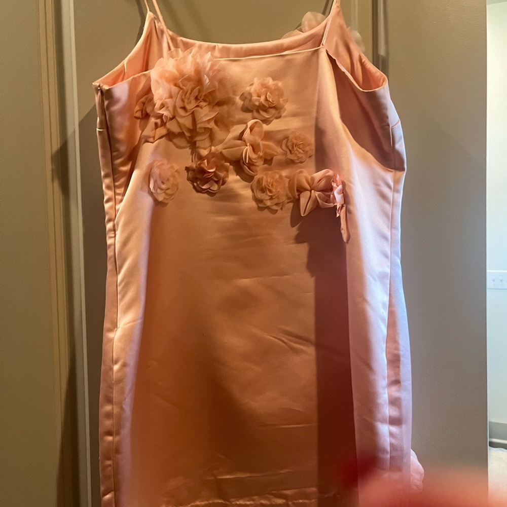 Love Shack Fancy Satin Mensa Mini Dress Size 6 Rose Appliqués - Picture 5 of 11